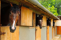 free Harehope stable construction quotes
